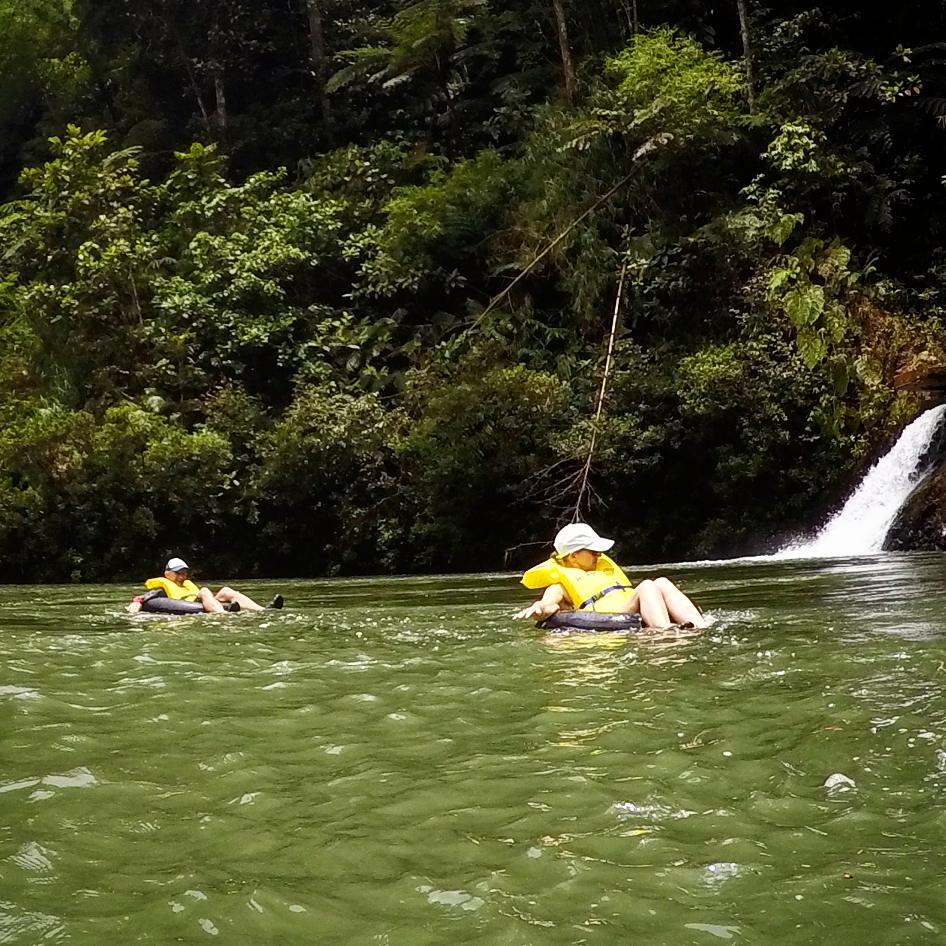 24232309_313653232481865_6956981754773858273_n