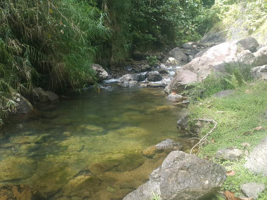 Jewel-of-fiji-jet-boat-7