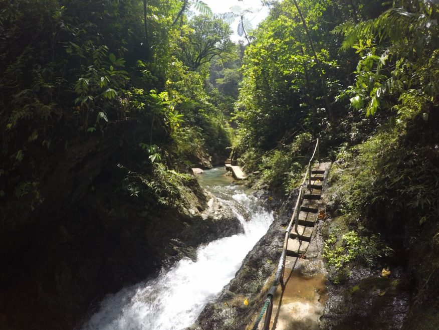 DCIM100GOPROGOPR1141.